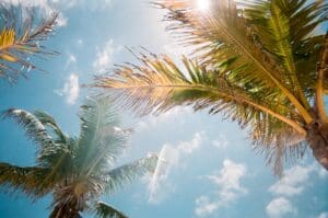 construction staffing in Florida